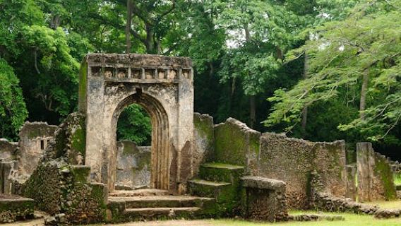 Arabuko Sokoke Forest and Gedi Ruins Day Tour from Mombasa North Coast