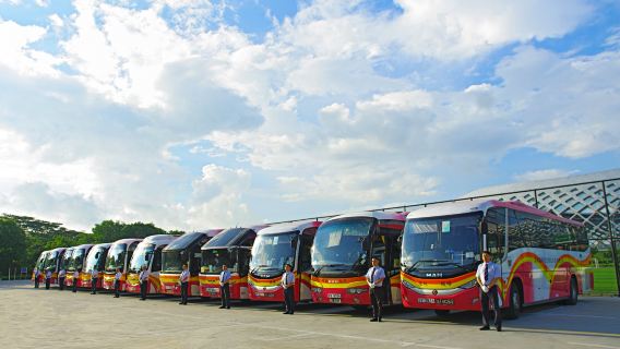 Guangzhou to Hong Kong cross-border direct bus - Guangzhou city center/Panyu Chime Long/Huadu R&F (no ticket collection required)