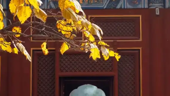 北京雍和宮一日遊【『探秘皇家寺院·帶您走進龍潛福地故事』】