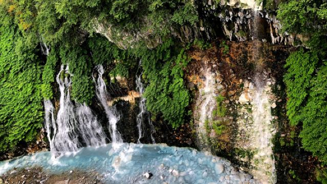 однодневный тур в зоопарк Асахияма, Голубой пруд, водопад Сирахигэ и Фурано (обед по желанию)