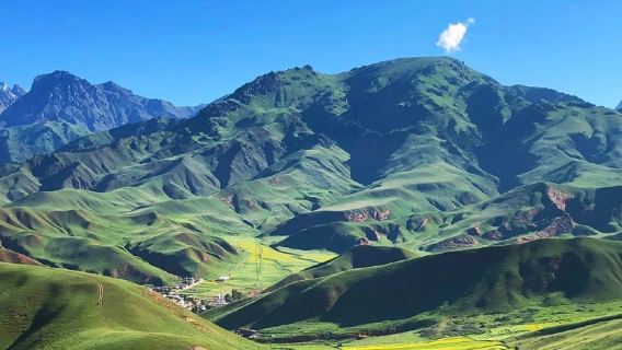 卓爾山+祁連大草原+崗什卡雪峰一日遊