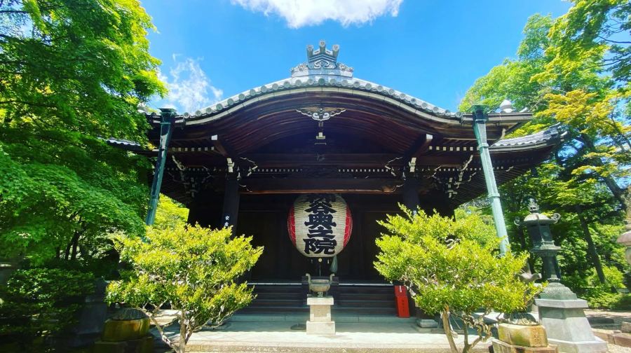 京都清水寺+嵐山+楊谷寺一日遊