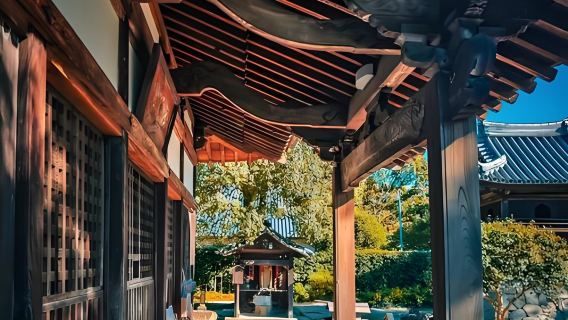 Dazaifu Tenmangu, Tenjin Underground Mall, Fukuoka Tower, Kushida Shrine, and Ohori Park in Fukuoka, Japan