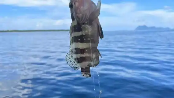 珠海58英呎豪華遊艇包船出海佈景選項含2小時出海+生日求婚佈置