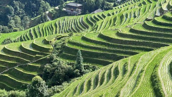 Guilin: Lawatan sehari ke Teres Padi Longji dari hotel Yangshuo