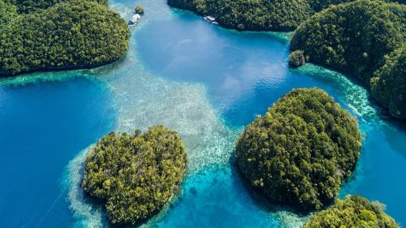 Île de Siargao : excursion d'une journée dans la baie de Sohoton – Rencontre avec des méduses et saut de falaise