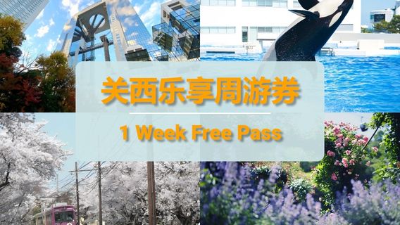 OsakaTravel Services