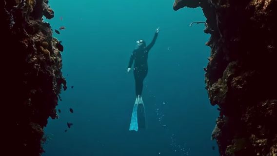 Napaling Reef (Swimming with the Sardines) by Bohol and Beyond