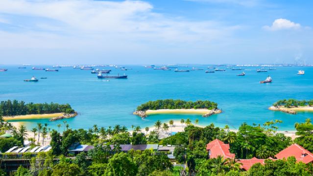 lawatan sehari Sentosa + Kawasan Peranakan|Termasuk pengangkutan dari hotel ke tempat tarikan pelancongan