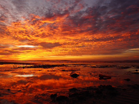 沙巴亞庇海龜苑紅樹林螢火蟲一日遊【雙層遊船+海灘日落】