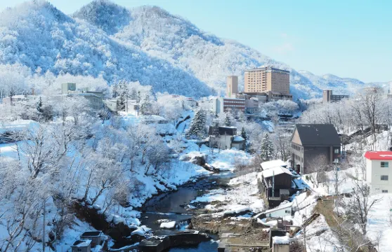札幌純玩一日遊｜頭大佛·定山溪温泉·海鮮市場·北海道藻岩山