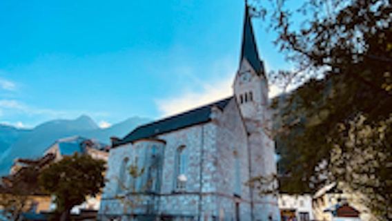 Private day trip from Salzburg to St. Gilgen & Hallstatt