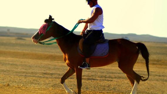Marsa Alam: escursione a cavallo al tramonto con cena, spettacolo e osservazione delle stelle