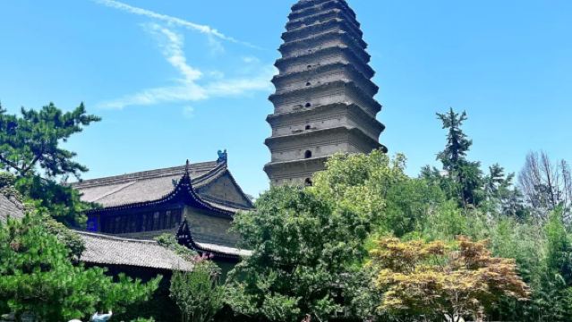 西安博物院半日遊/含門票/可選10人VIP大咖團/含小雁塔