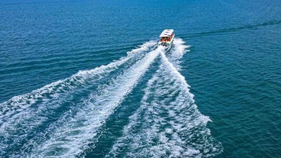 Da Paracas: Isole Ballestas e Riserva Nazionale di Paracas