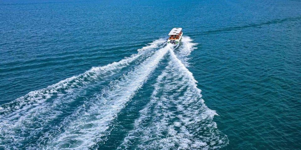 Paracas에서 : Ballestas Islands 및 Paracas National Reserve