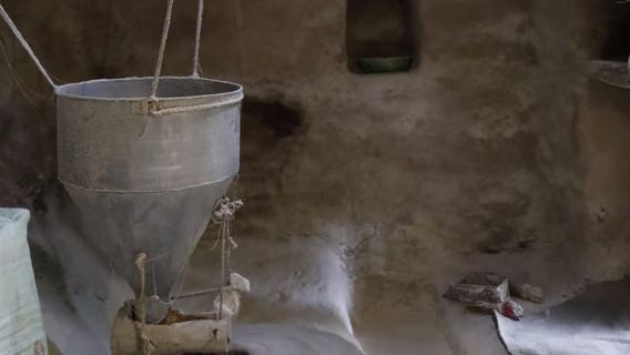 Recorrido patrimonial: Plantaciones de té y cultura del Himalaya en Palampur