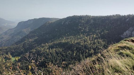 Flumserberg: Geführte Highlight-Wanderungen