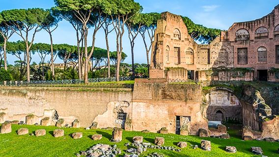 Rome: Guided Tour of Colosseum, Roman Forum & Palatine Hill
