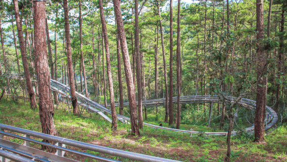 Dalat: Tiket Masuk Pengalaman Coaster Alpen Baru Datanla