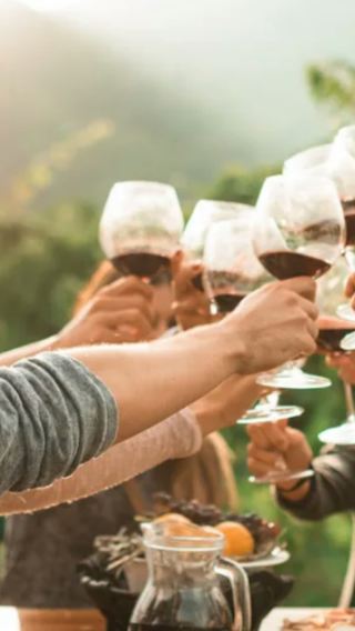 San Francisco Sonoma Plaza + Napa Valley Winery Tasting Day Tour Including Wine Tasting