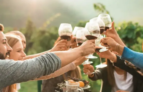 美國三藩市索諾瑪廣場+納帕谷酒莊品酒一日遊含品酒