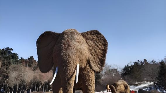 Changchun Jilin Provincial Science and Technology Museum + Changchun Zoological And Botanical Park (Holiday Family Fun · Parent-Child Activities)