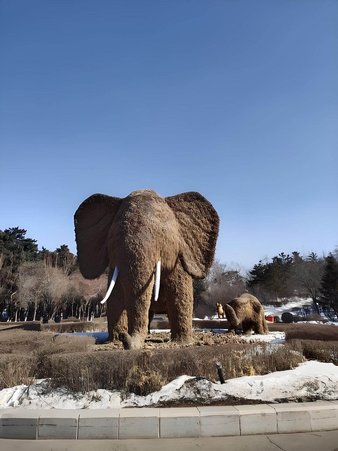 Changchun Jilin Provincial Science and Technology Museum + Changchun Zoological And Botanical Park (Holiday Family Fun · Parent-Child Activities)