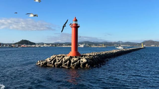 Lawatan Sehari di Jeju | Udo + Seongsan + Seopjikoji + Woljeongri + Hamdeok | Semua Termasuk | Kumpulan Eksklusif