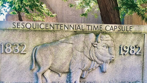 Servizio di pick-up dall'aeroporto/trasferimento all'aeroporto di Buffalo, Stati Uniti/percorsi personalizzati