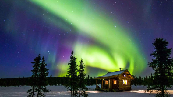 Fairbanks aurora viewing tour in Alaska, United States [Chinese and English guides available]