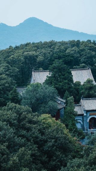 1-day tour to Shaolin Temple + Songshan Scenic Area in Zhengzhou, Henan with Chinese and English guide available