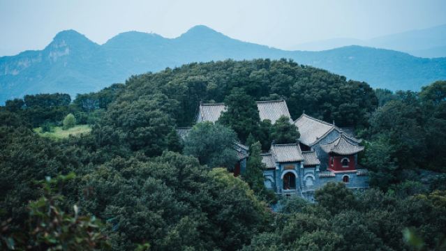 Tour di un giorno al Tempio Shaolin e alla zona panoramica del Monte Song a Zhengzhou, Henan, con accompagnatore in cinese e inglese