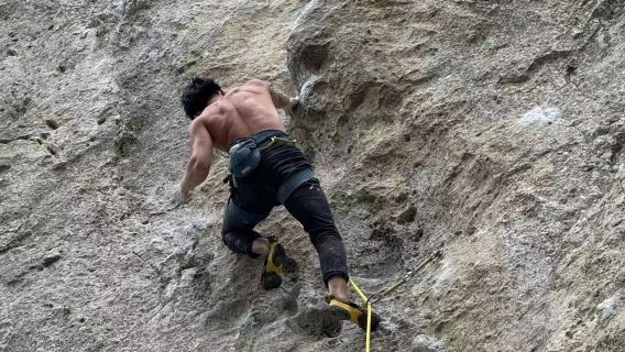 Pengalaman panjat tebing Tebing Keju Swiss (1 rute)|Ramah untuk pemula)