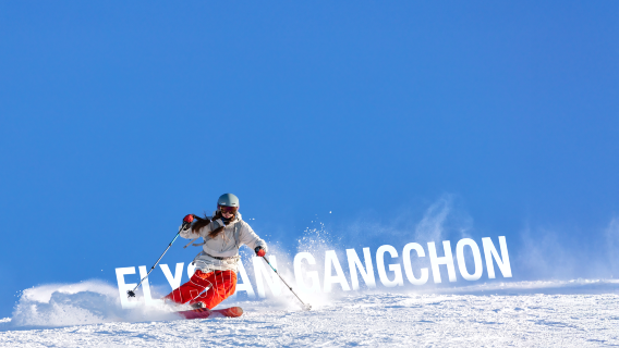 1-day tour from Seoul to Nami Island + Gangchon Ski Resort (Elysian Ski Resort)