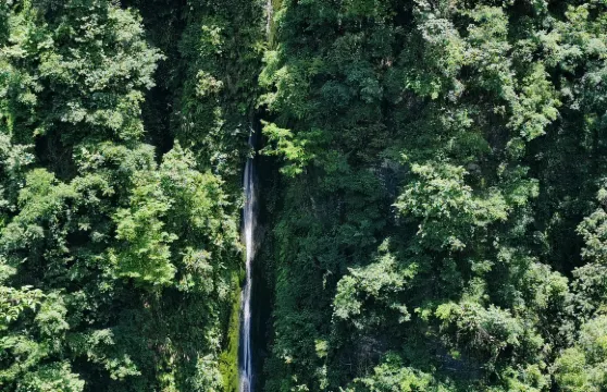 湖南湘西矮寨奇觀+德夯苗寨+乾州古城包車一日遊(提供中英文服務)