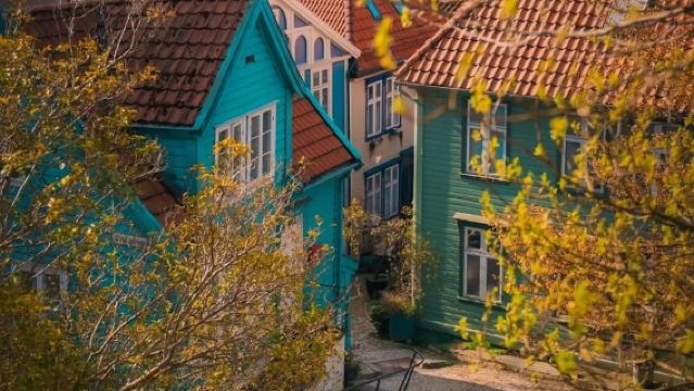 Norway Tromso + Aurora Hunting Tour/Private Charter/Small Group/Door-to-Door Pickup