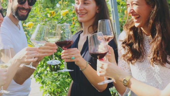 Castello di Schönbrunn: degustazione di vini