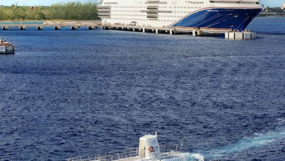 Atlantis Cozumel: Submarine Experience