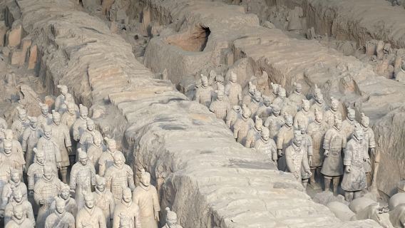 Xi'an Tagesausflug zum Mausoleum Qin Shihuangdis + Historisches Museum Shaanxi + Große Wildgans-Pagode mit englischsprachigem Service