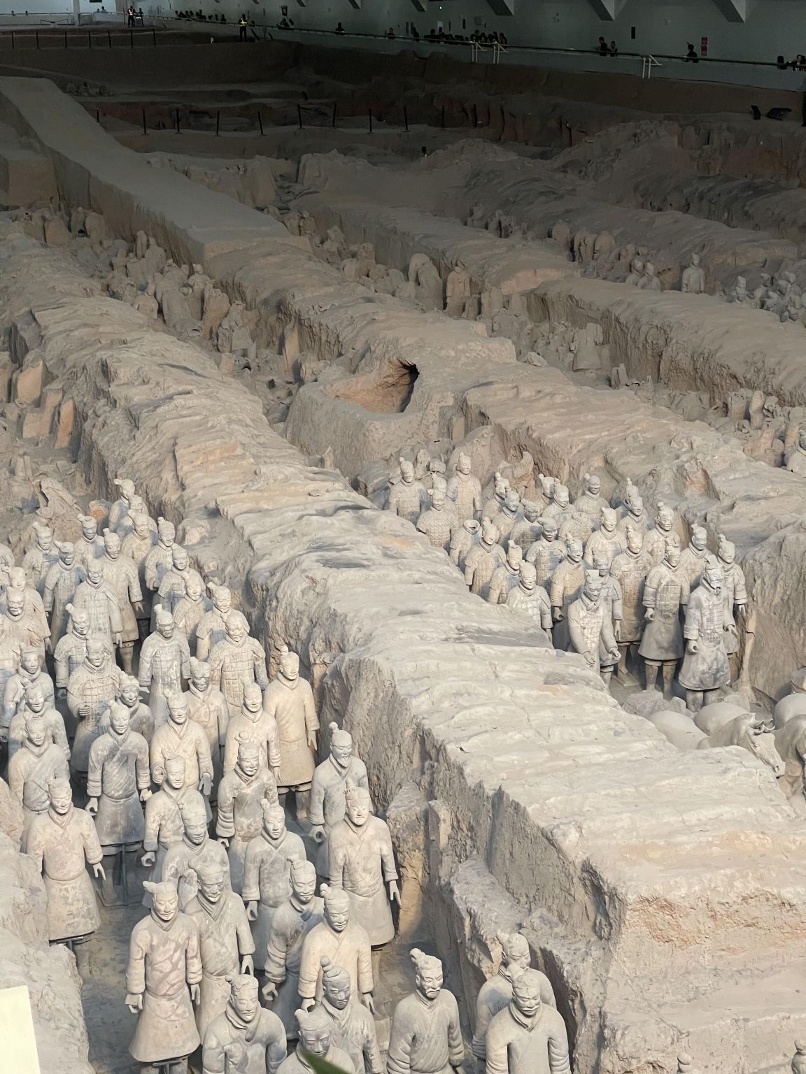 Tour di un giorno a Xi'an con Museo dei guerrieri e dei cavalli di terracotta di Qin + Museo della storia di Shanxi + Grande Tang Dynasty Ever-Bright City con servizio in inglese