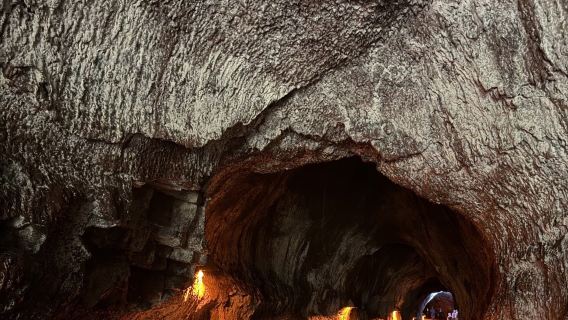 Top Pick for Big Island Group Day Tour in Hawaii