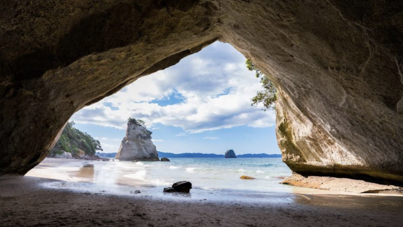 新西蘭奧克蘭+派希亞+羅素島+可定制【中文專車-愜意舒適】