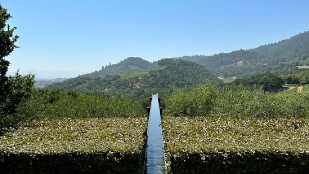 美國三藩市來回納帕谷 各種酒莊打卡-包車-精選