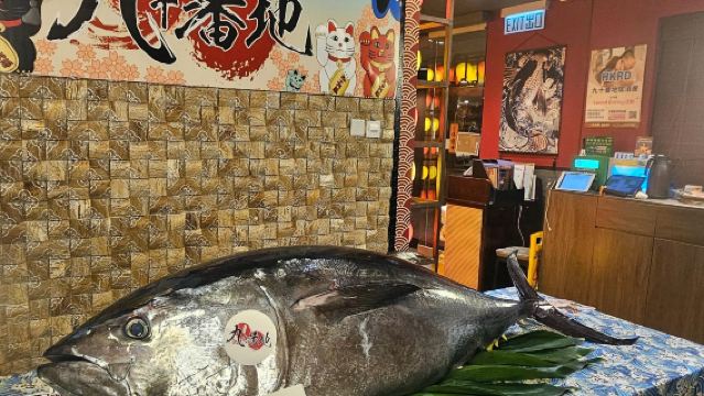 Nomor 90|Izakaya Jepang yang Wajib Dicoba di Tsim Sha Tsui|Pesta pembedahan ikan tuna sirip biru di lokasi|Pengalaman budaya kuliner Jepang