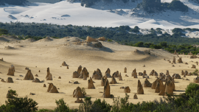 Перт: Закат в пустыне Пиннаклс и наблюдение за звездами с ужином