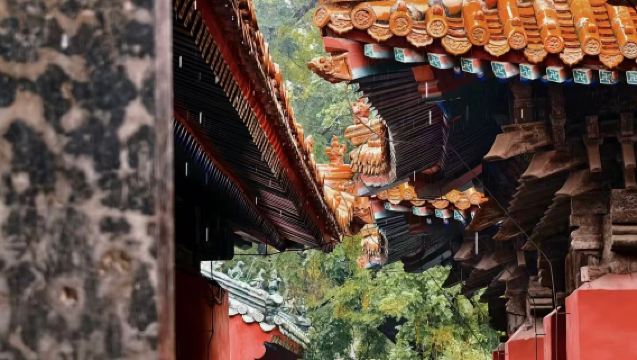 Qufu Confucius temple + Kong family mansion [3h in-depth guide | optional tickets included | with headsets]