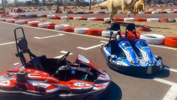 墾丁｜恐龍賽車場・F1卡丁車・瑪莉歐甩尾車・漆彈/水彈