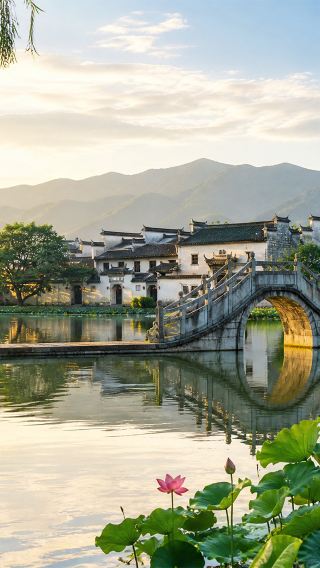 Hongcun Scenic Area Half-Day Tour (Afternoon) [Guide-led Explanation + Entrance Fee Included | No Shopping | Highly Recommended]