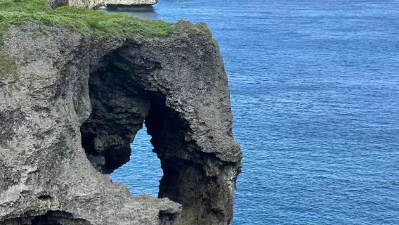Sewaan peribadi sehari utara Okinawa | Manzamou + Pulau Kouri + Akuarium Churaumi
